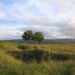 Destinasi Wisata Kupang dengan Pemandangan Luar Biasa Bukit Cinta