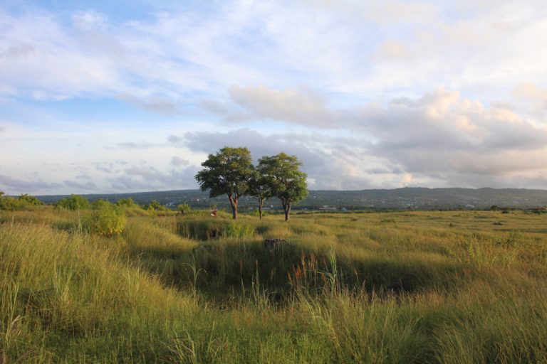 Destinasi Wisata Kupang dengan Pemandangan Luar Biasa Bukit Cinta